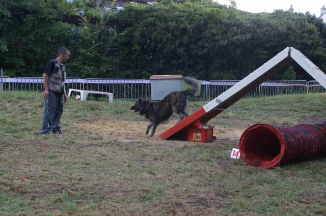 foire-haricots 2011-09-17et18